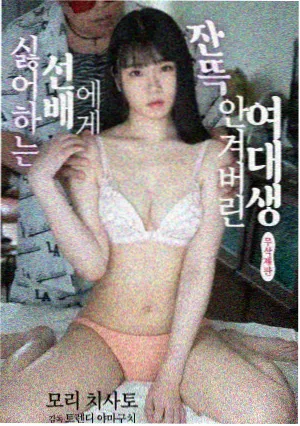 八戒影视大全高清版免费条目试阅卡：剧集栏的四季场景封面图